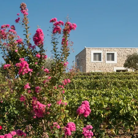 Tatil Evi Stanic Estate