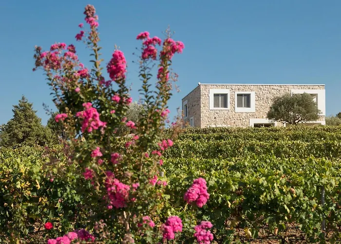 Ferienhaus Stanic Estate
